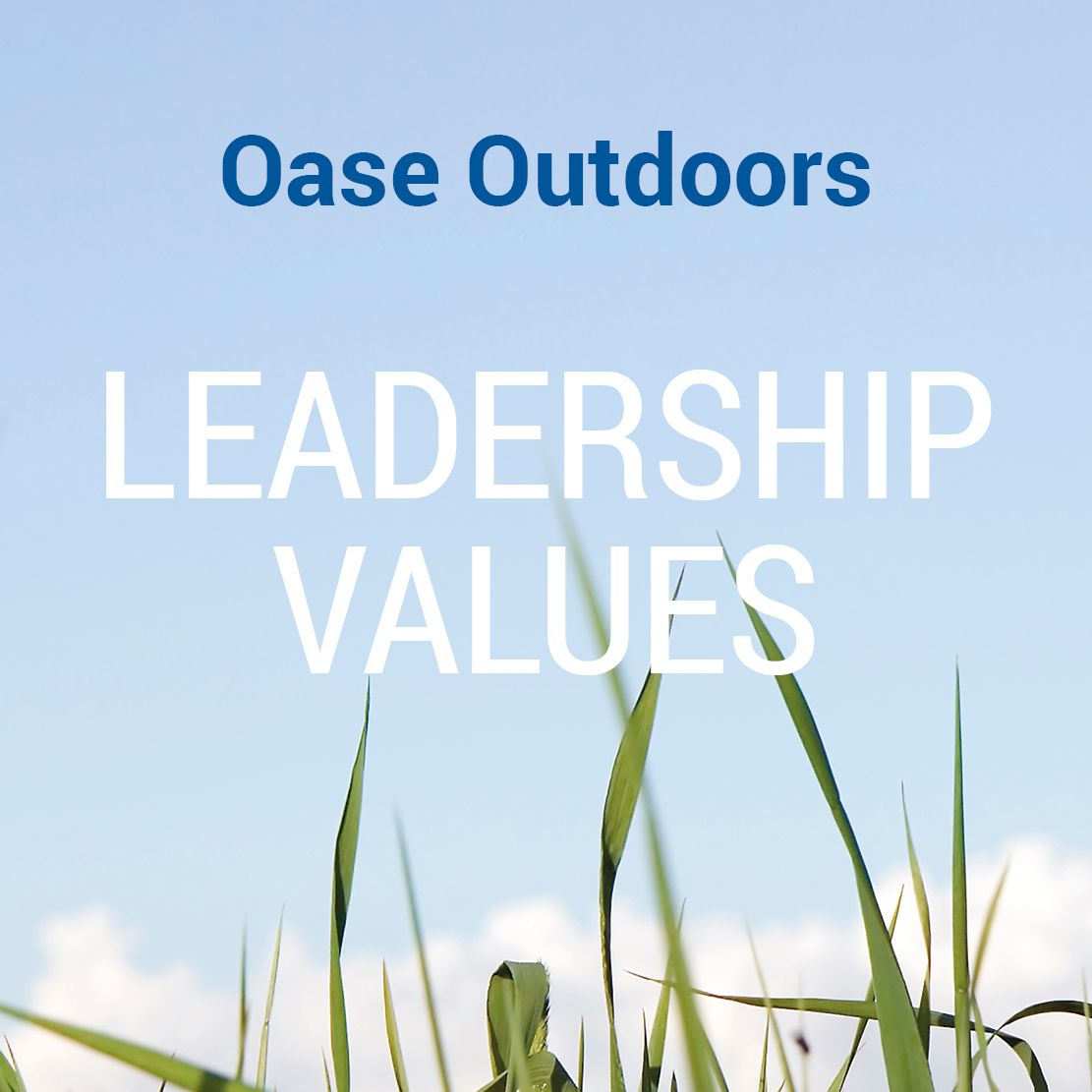Values