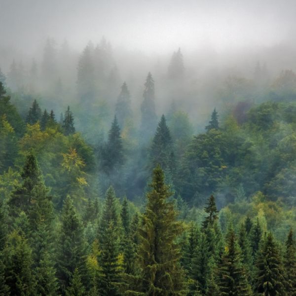 EU directives and regulations