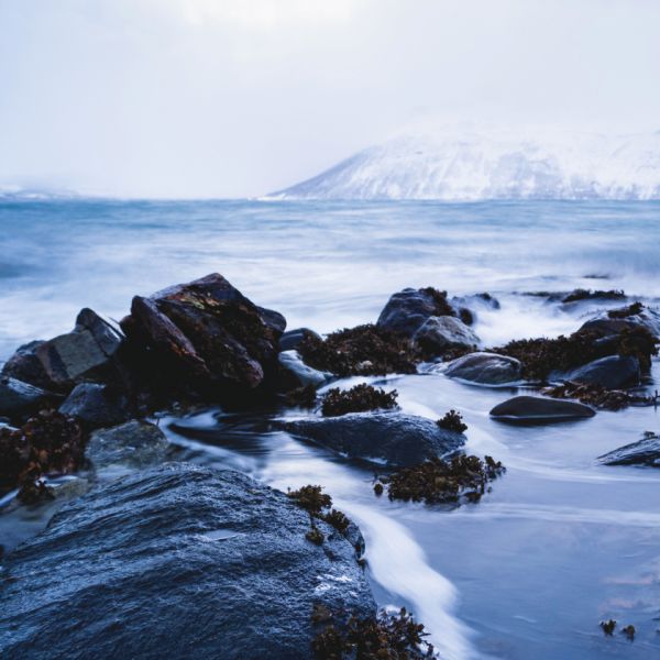 Prolong product life