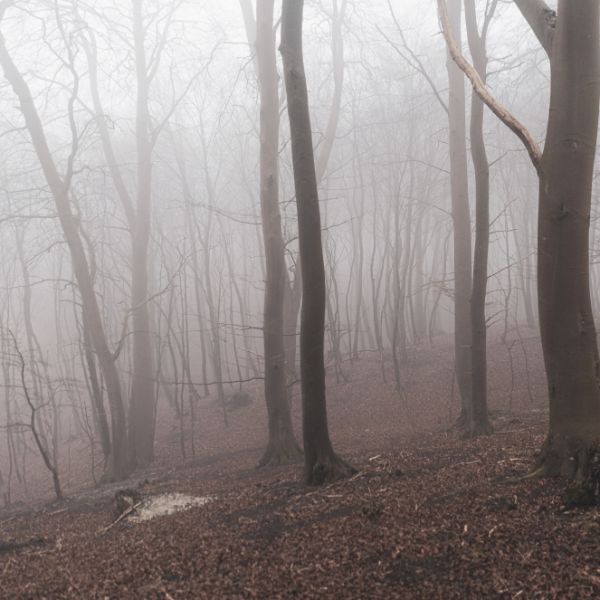 Responsible Production